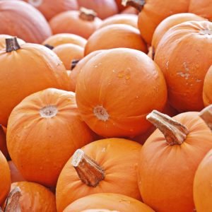 pumpkin-4461665_1920